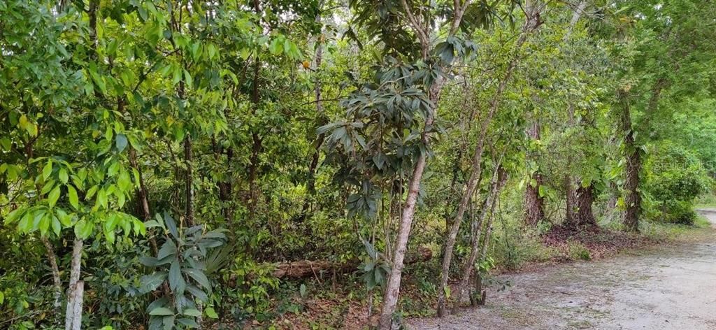 На продажу: $59,000 (0.33 acres)