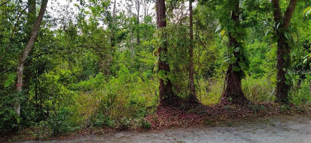 На продажу: $59,000 (0.33 acres)