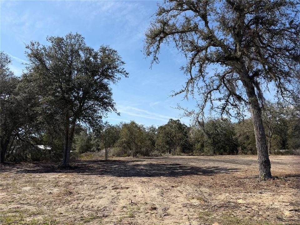 待售: $42,000 (1.36 acres)