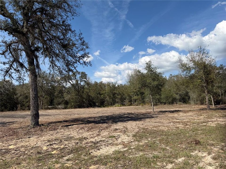 待售: $42,000 (1.36 acres)