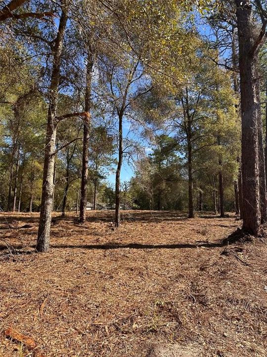 待售: $35,000 (0.26 acres)