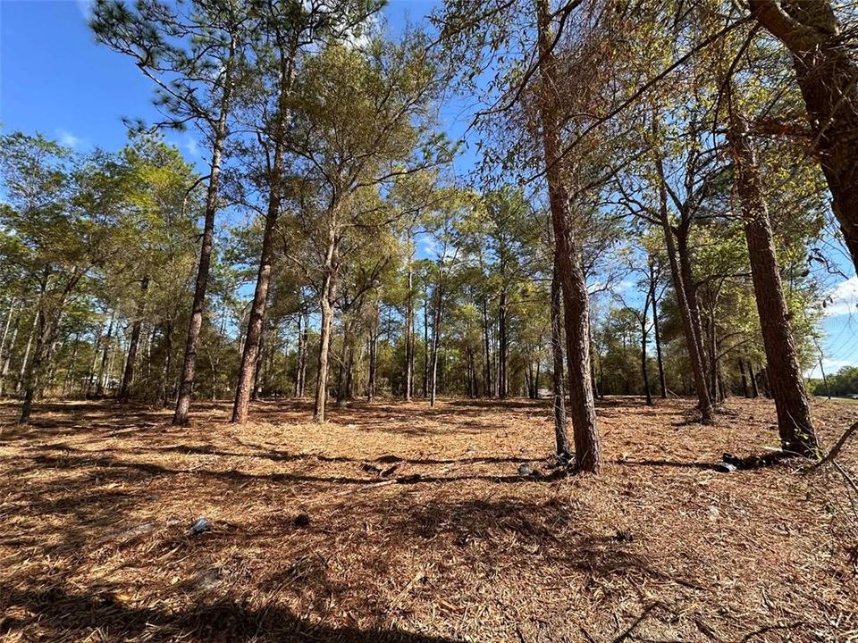 For Sale: $35,000 (0.27 acres)