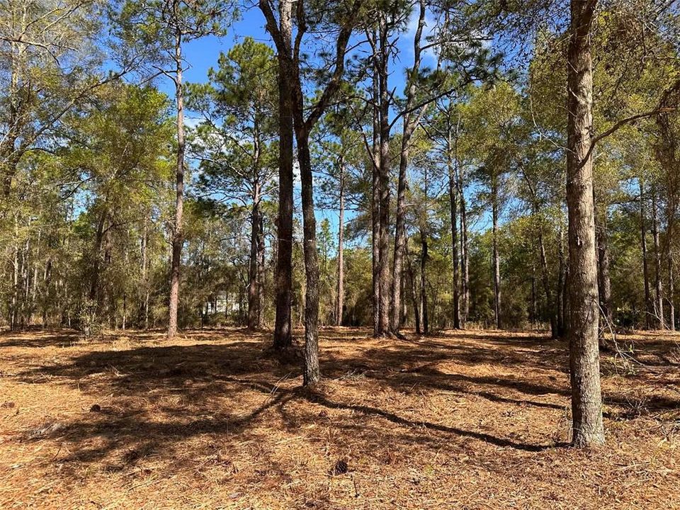 For Sale: $35,000 (0.27 acres)