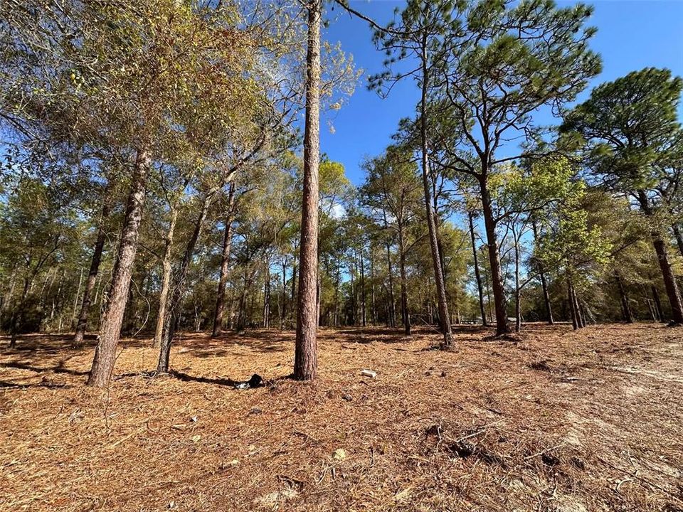 For Sale: $35,000 (0.27 acres)