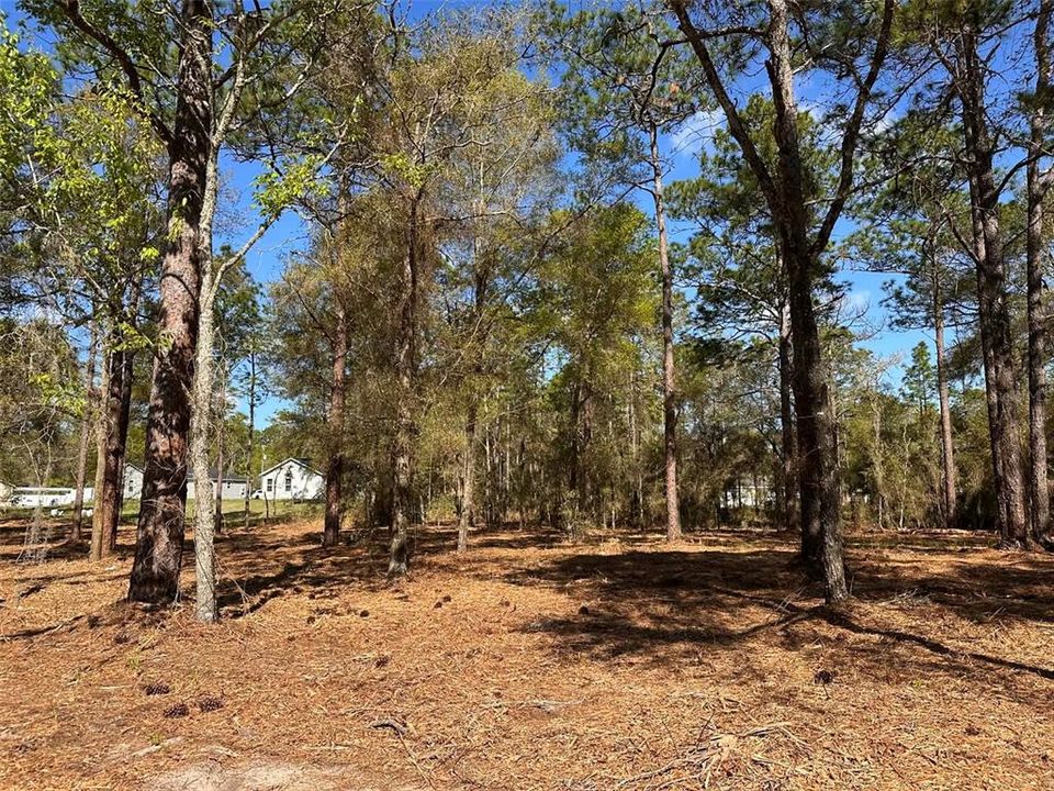 For Sale: $35,000 (0.27 acres)