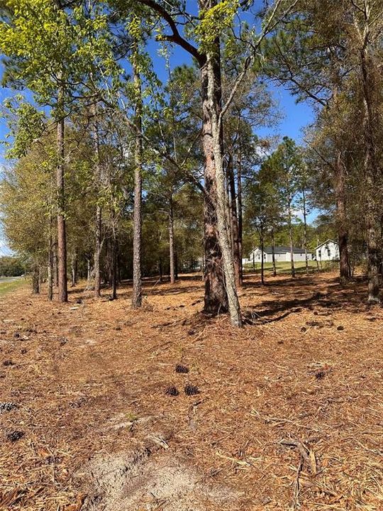 For Sale: $35,000 (0.28 acres)