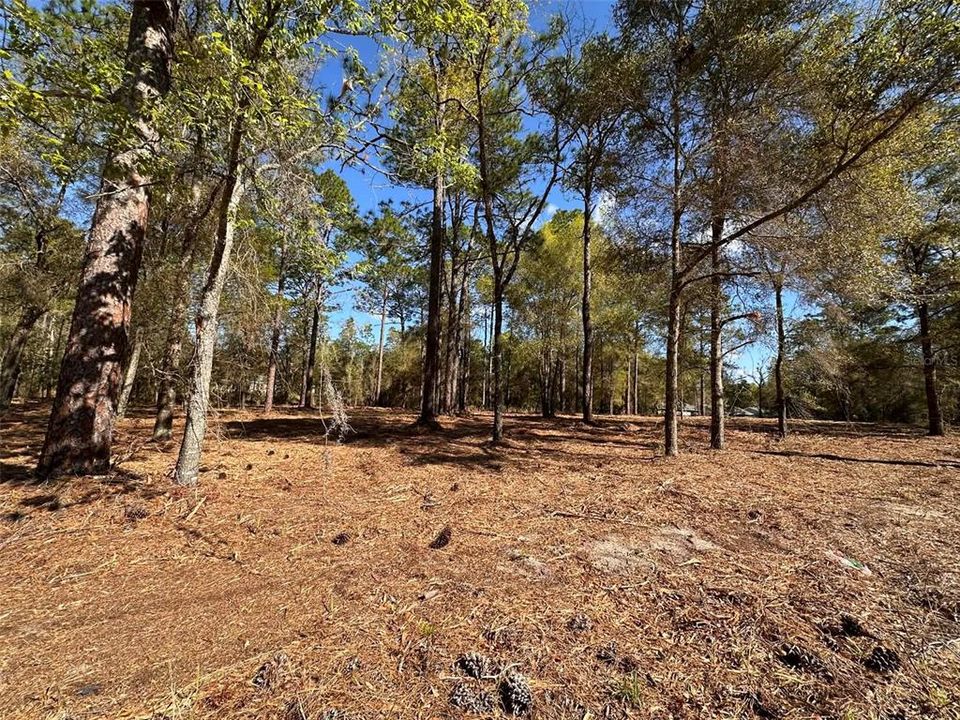 For Sale: $35,000 (0.28 acres)