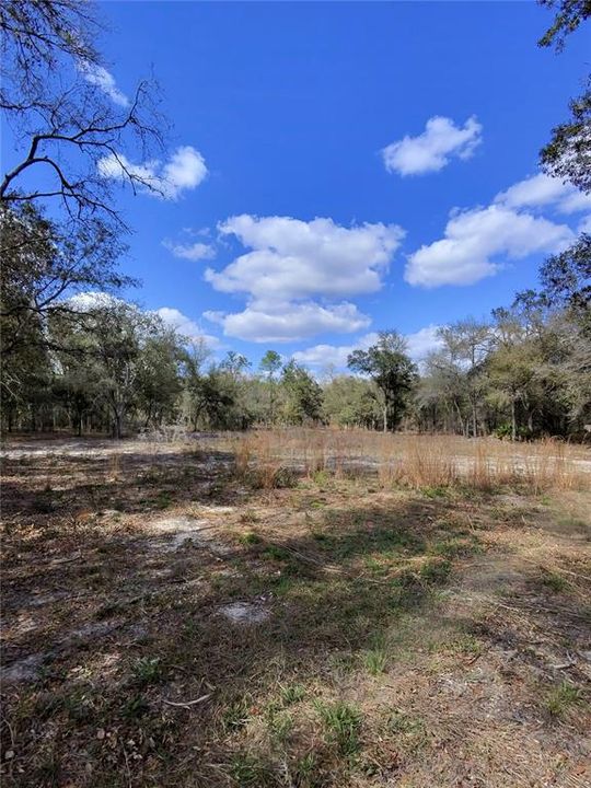 待售: $39,500 (1.25 acres)