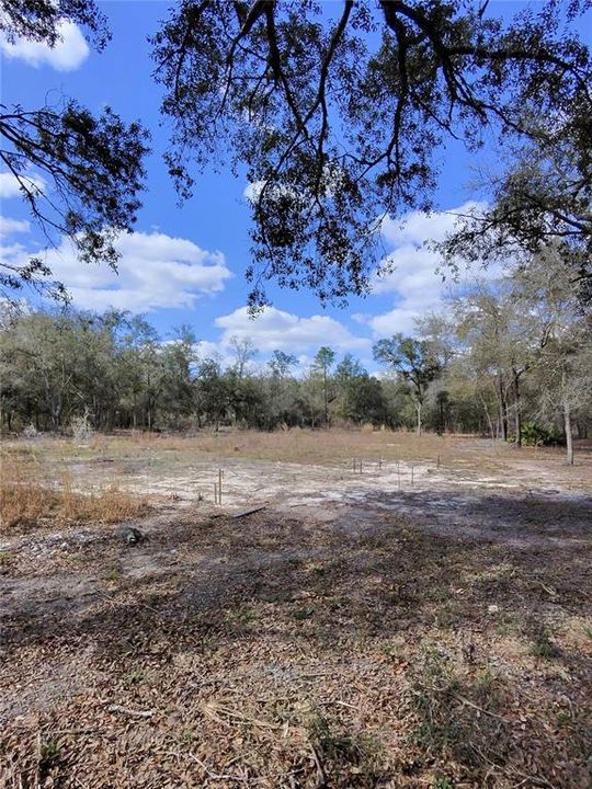 待售: $39,500 (1.25 acres)