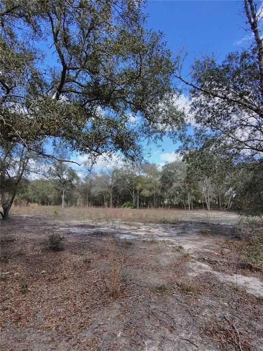 待售: $39,500 (1.25 acres)