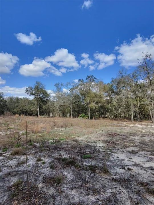待售: $39,500 (1.25 acres)