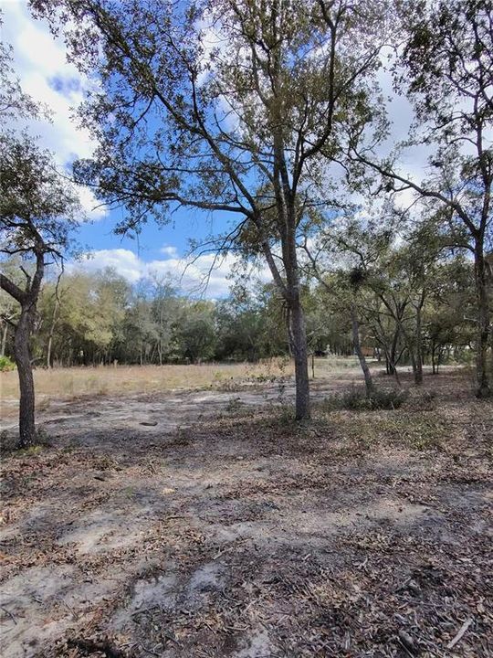待售: $39,500 (1.25 acres)