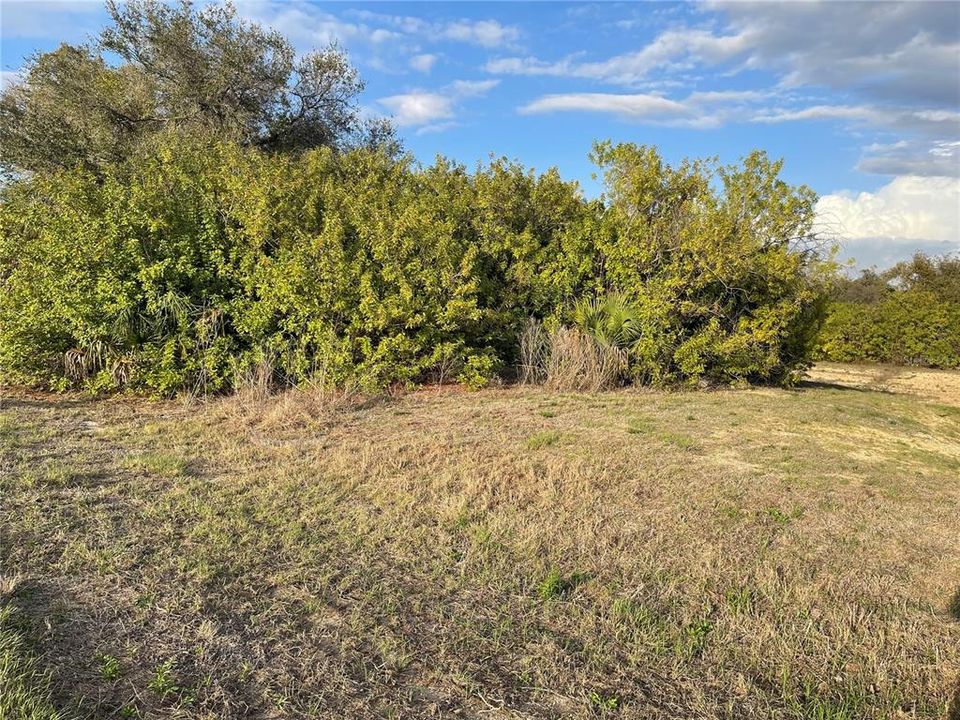 For Sale: $25,000 (0.26 acres)