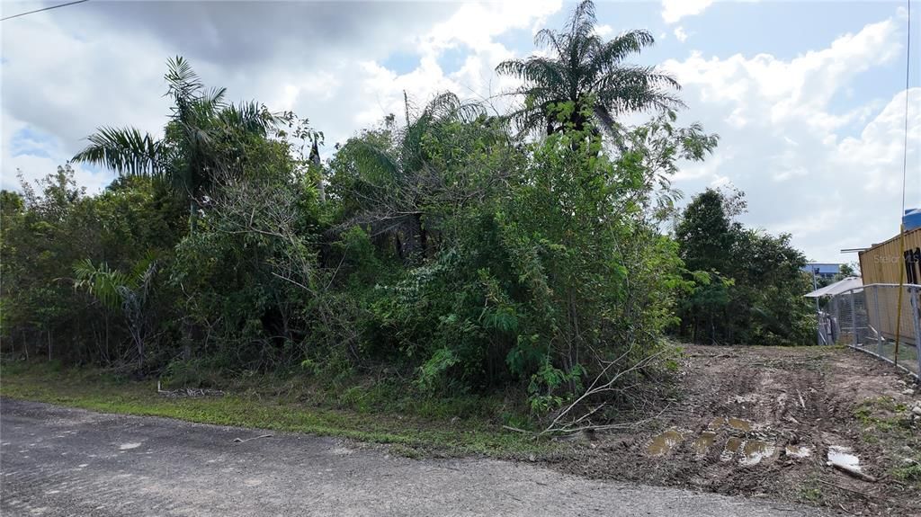 На продажу: $125,000 (1.01 acres)
