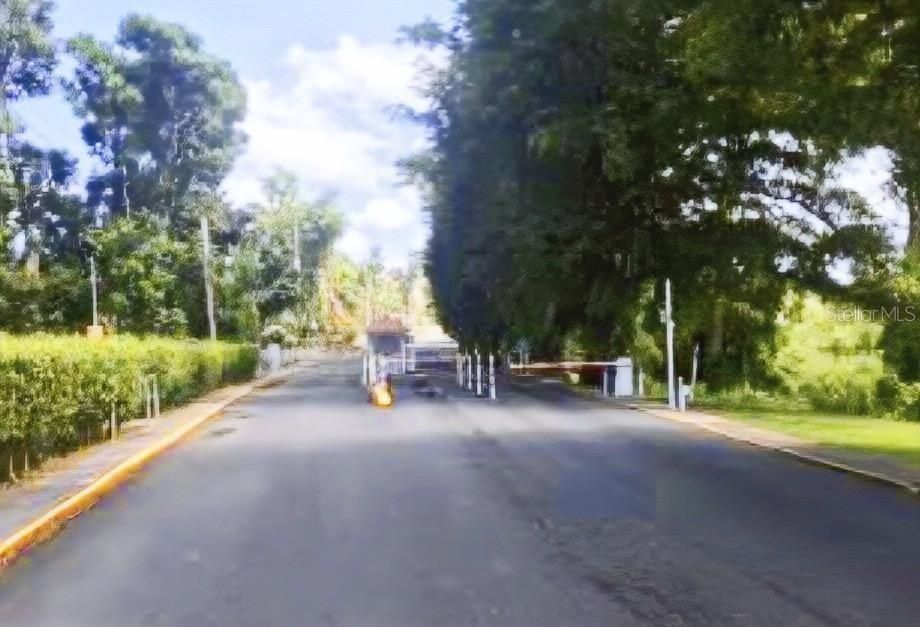На продажу: $125,000 (1.01 acres)