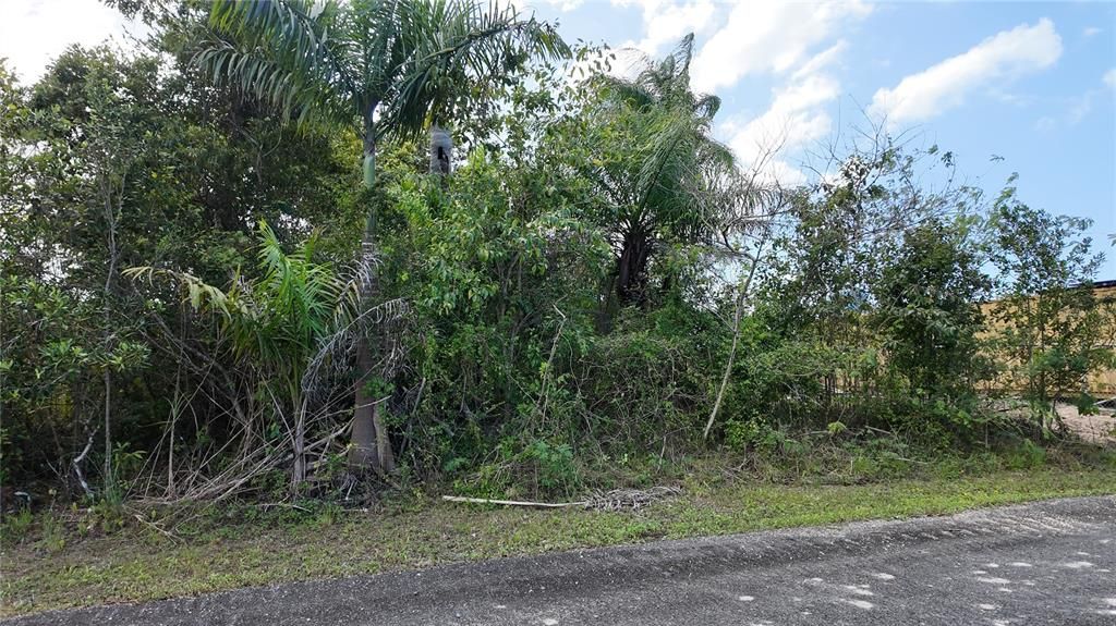 На продажу: $125,000 (1.01 acres)