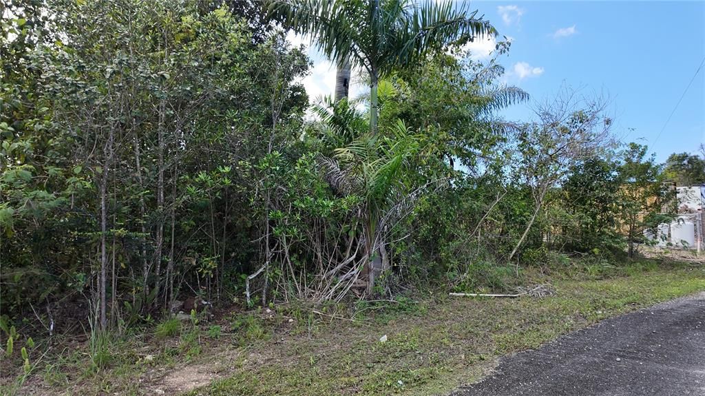 На продажу: $125,000 (1.01 acres)