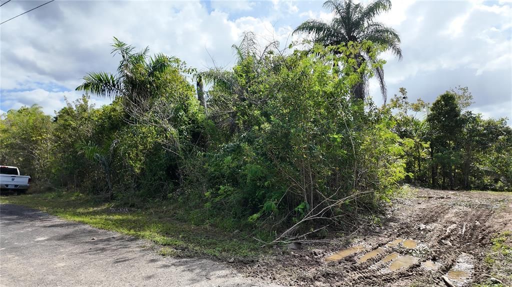 На продажу: $125,000 (1.01 acres)
