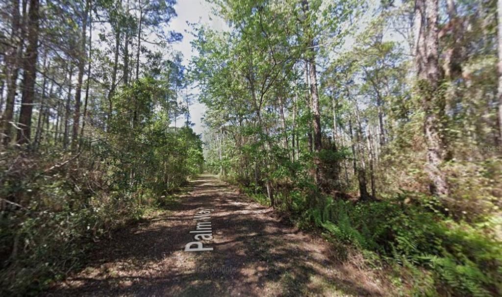 En Venta: $8,900 (0.23 acres)