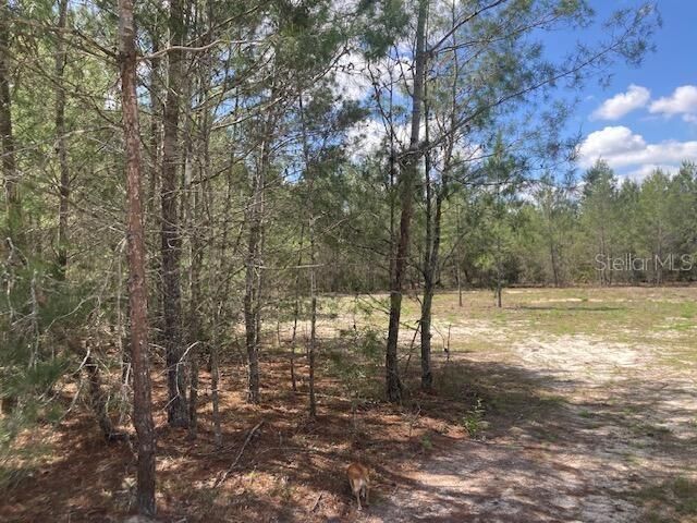 На продажу: $131,056 (9.33 acres)
