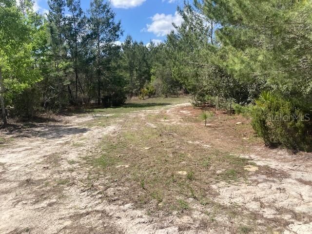 На продажу: $131,056 (9.33 acres)