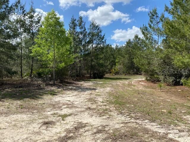 На продажу: $131,056 (9.33 acres)