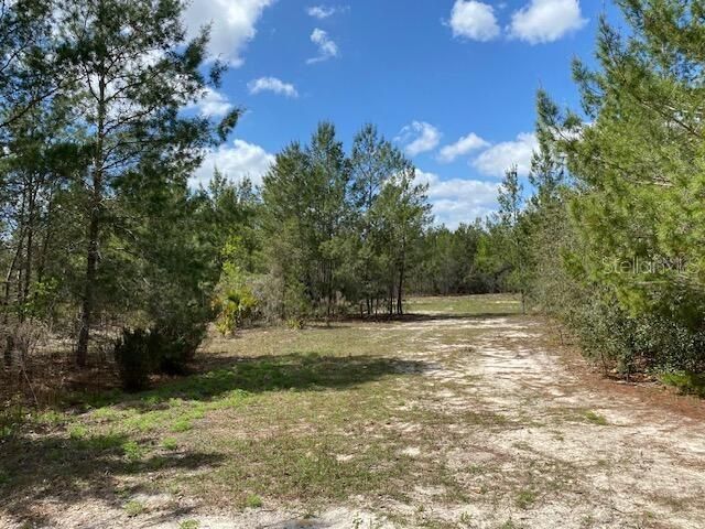 На продажу: $131,056 (9.33 acres)