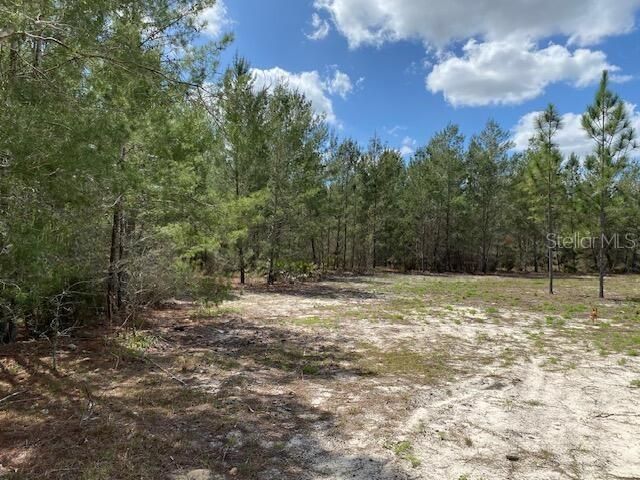 На продажу: $131,056 (9.33 acres)