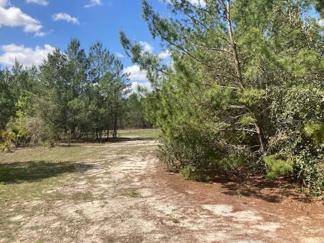 На продажу: $131,056 (9.33 acres)