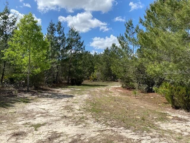 На продажу: $131,056 (9.33 acres)