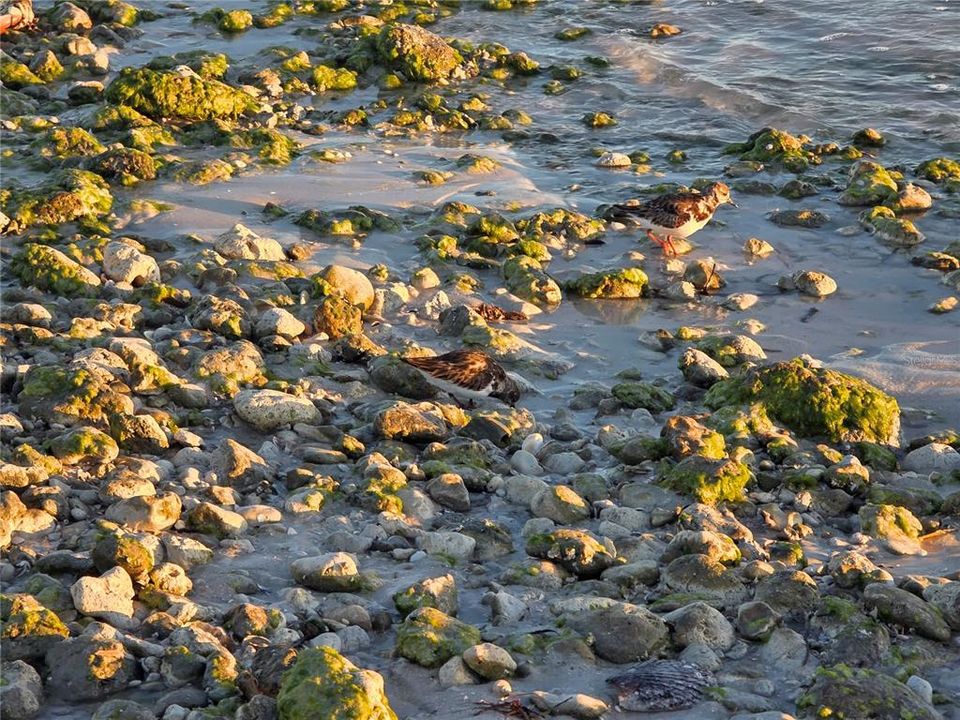 For Sale: $299,900 (1 beds, 1 baths, 562 Square Feet)