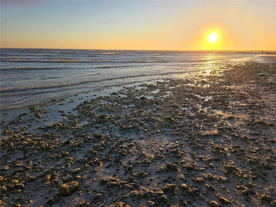 For Sale: $299,900 (1 beds, 1 baths, 562 Square Feet)