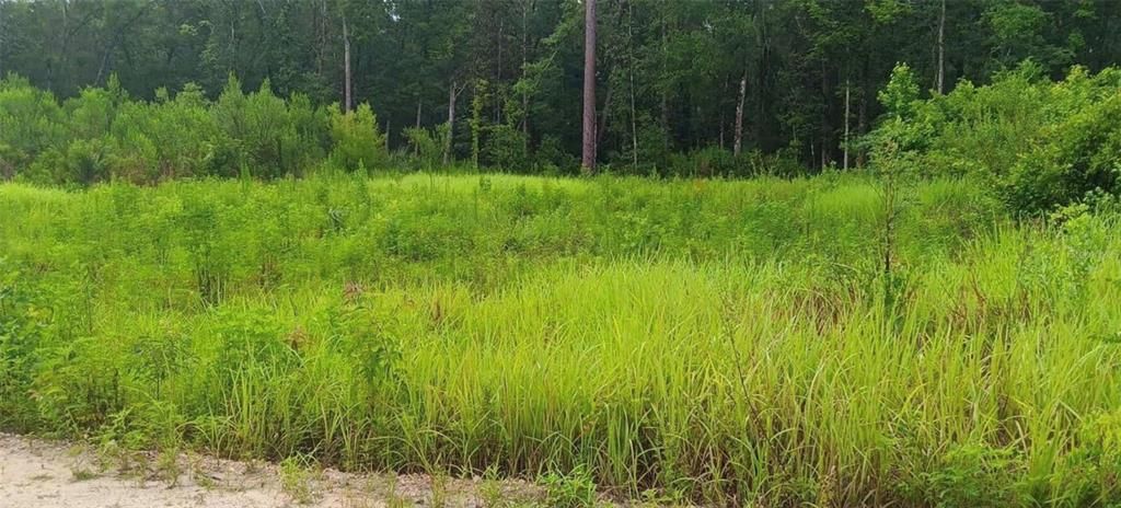 For Sale: $65,000 (0.47 acres)