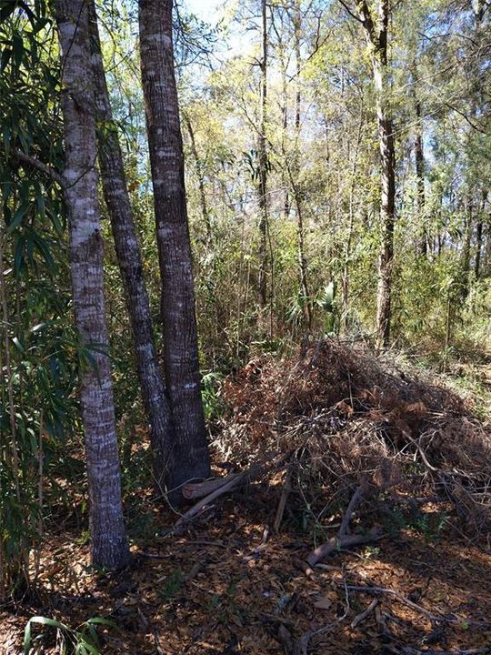 Под контрактом: $10,500 (0.32 acres)