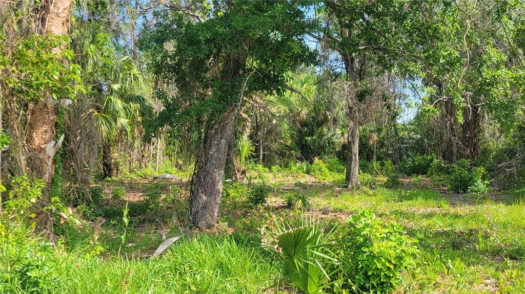 На продажу: $21,000 (0.17 acres)