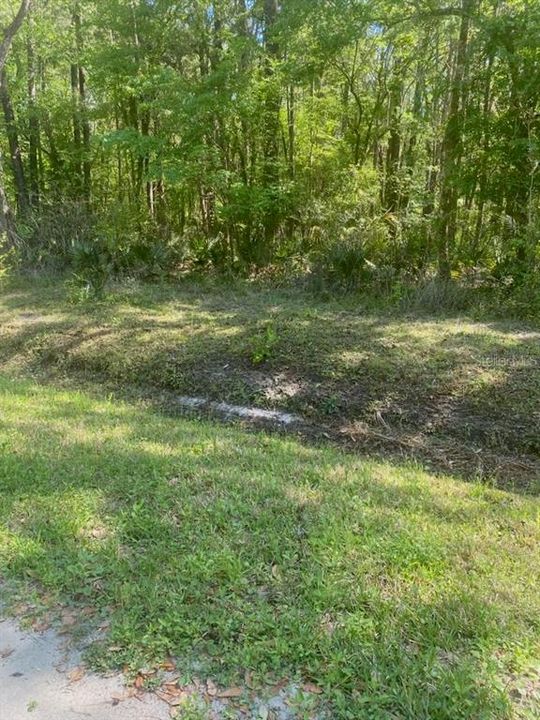 Activo con contrato: $24,000 (1.14 acres)