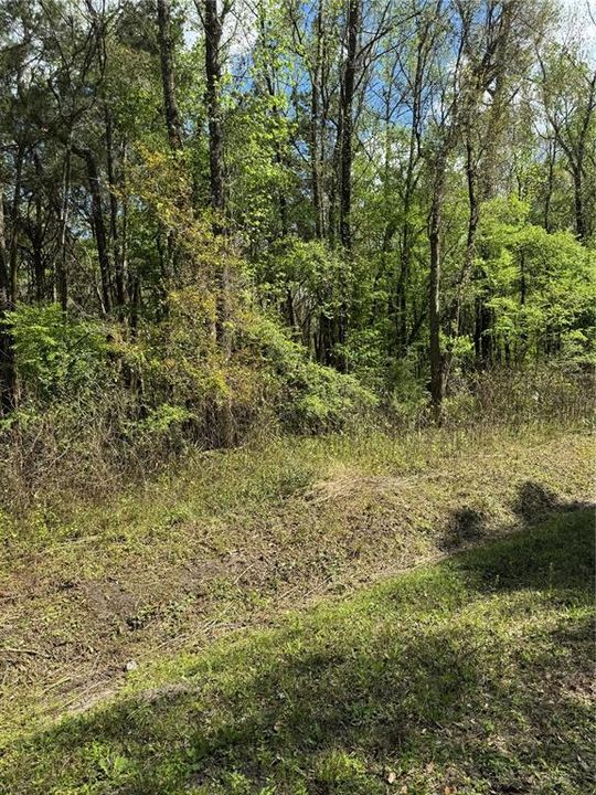 Activo con contrato: $24,000 (1.14 acres)