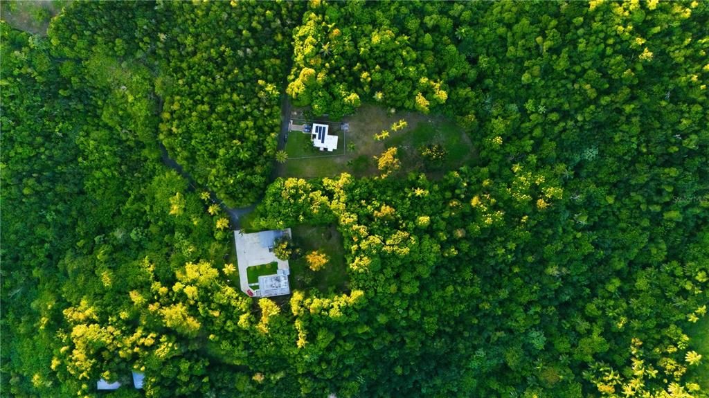 For Sale: $110,000 (2.94 acres)