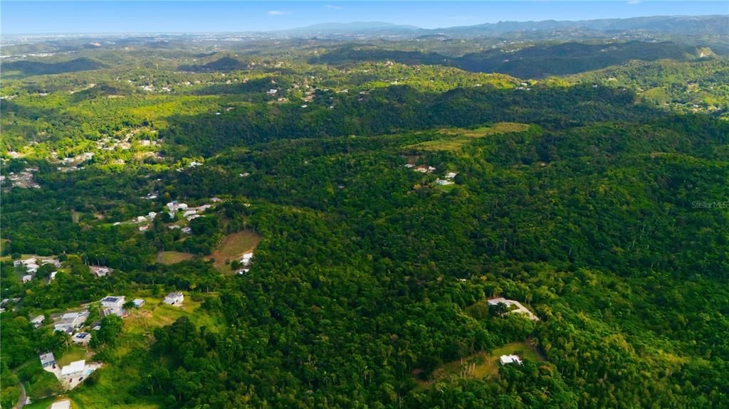 For Sale: $110,000 (2.94 acres)