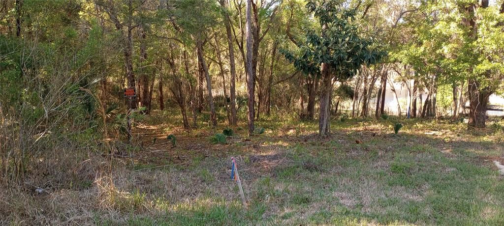 For Sale: $33,000 (0.31 acres)
