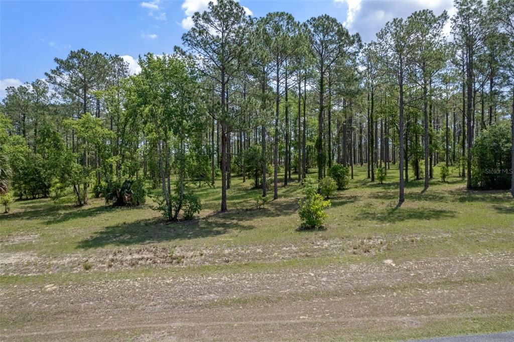 待售: $485,000 (6.19 acres)