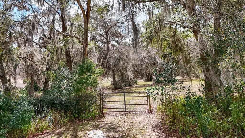 Active With Contract: $375,000 (6.54 acres)