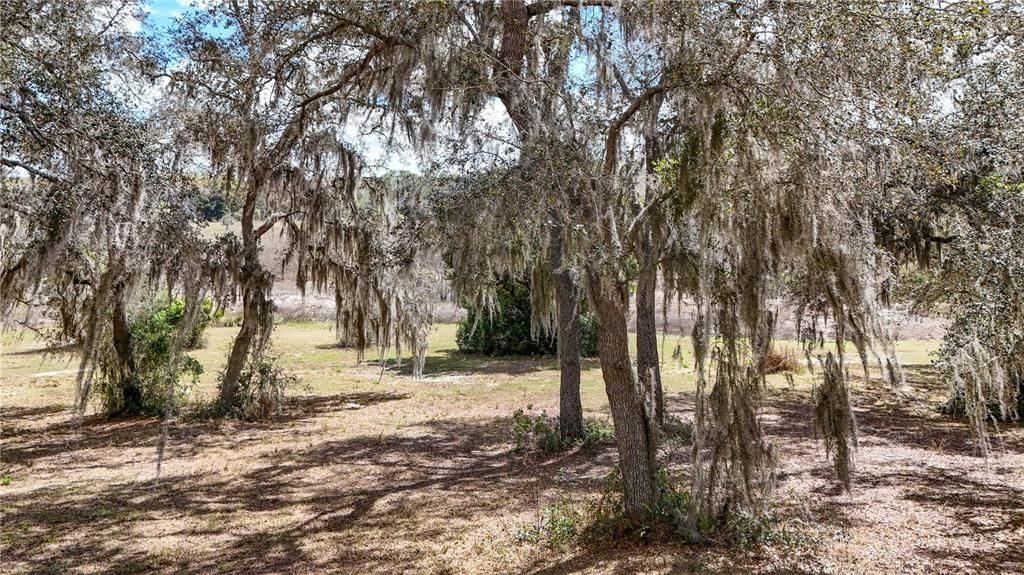 Active With Contract: $375,000 (6.54 acres)