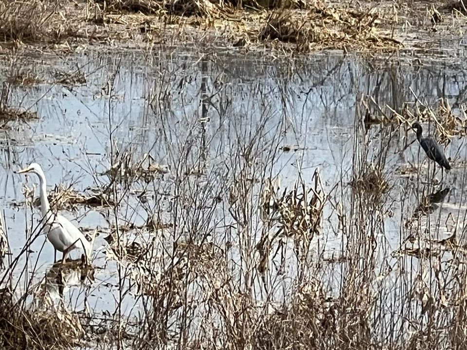 Active With Contract: $375,000 (6.54 acres)