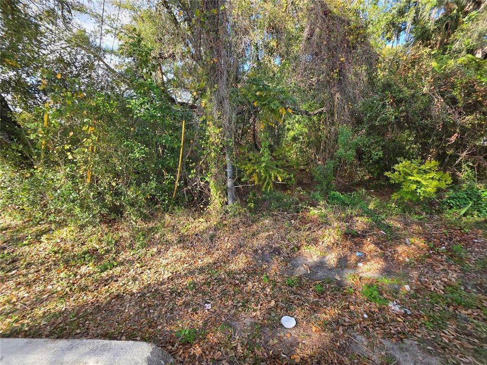 待售: $589,000 (0.86 acres)