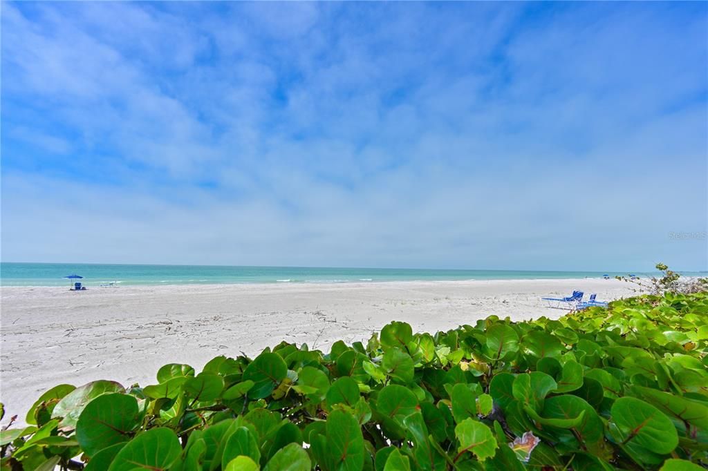 For Rent: $2,500 (2 beds, 2 baths, 1062 Square Feet)
