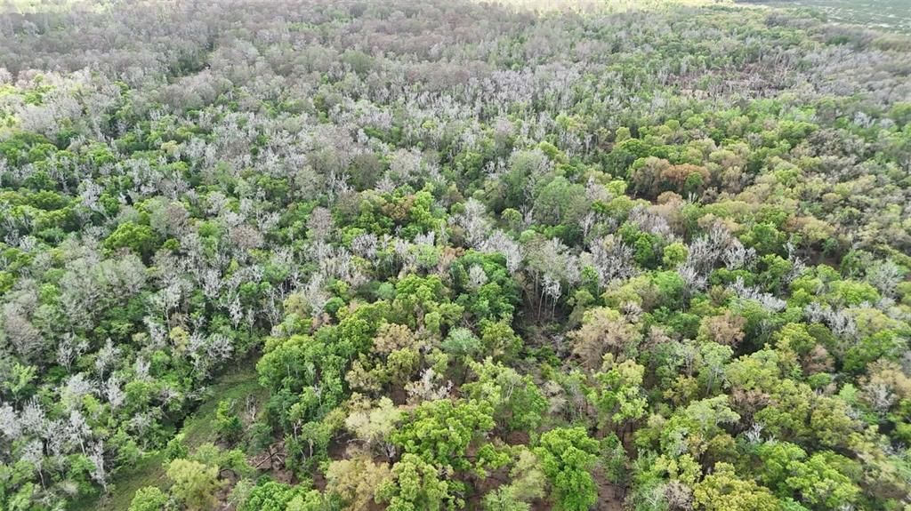 На продажу: $3,962,500 (317.09 acres)