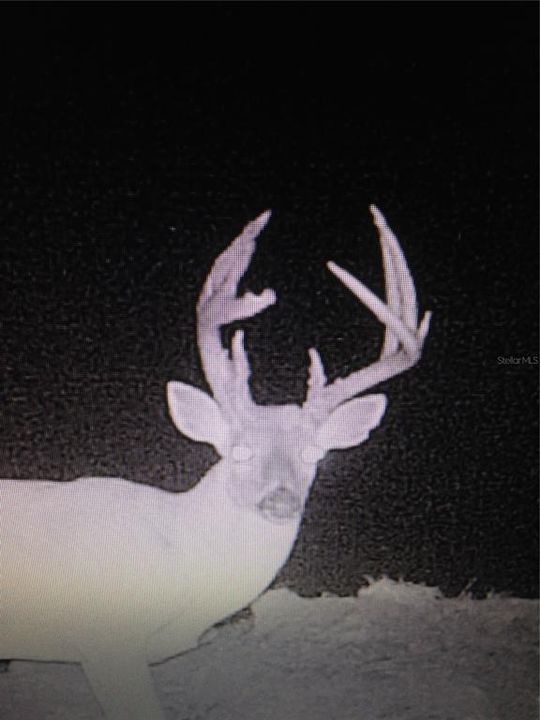 На продажу: $3,962,500 (317.09 acres)