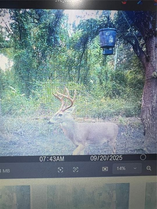 На продажу: $3,962,500 (317.09 acres)