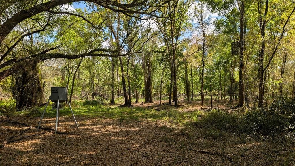 На продажу: $3,962,500 (317.09 acres)